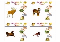 HC-Tiere leben B 08.pdf